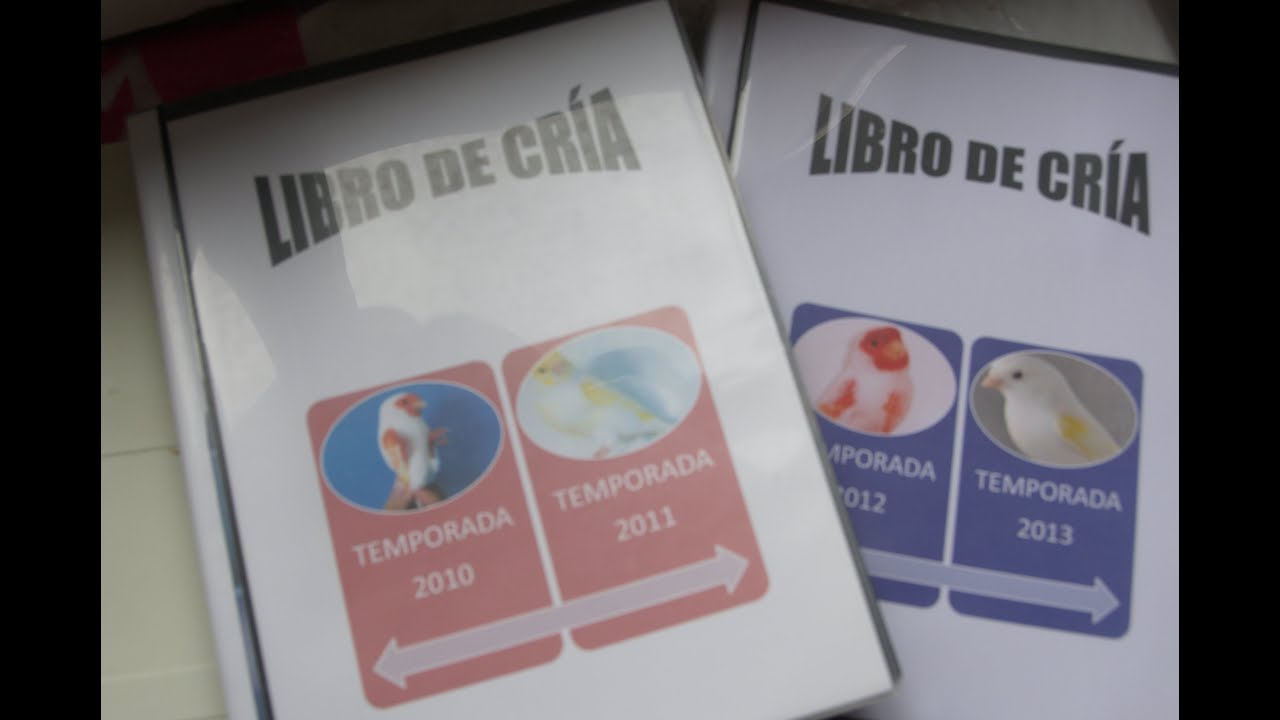 ASÍ CLASIFICO MIS CANARIOS DURANTE LA CRÍA: Un paso más allá del libro de cría.
