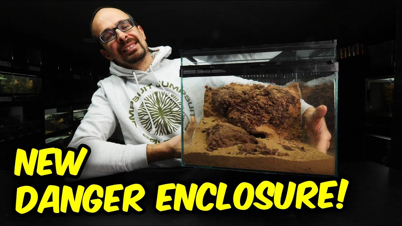 My MOST VENOMOUS Scorpion got a new Enclosure