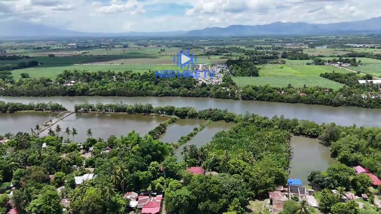 Aguisan Elementary School - SDO Himamaylan City, Negros Occidental