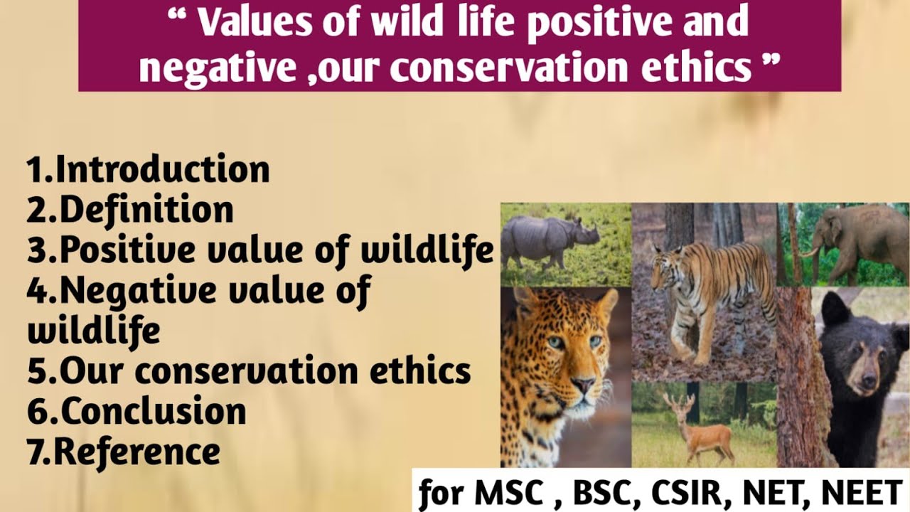 Values of wildlife | Positive and negative value of wildlife | Conservation ethics 