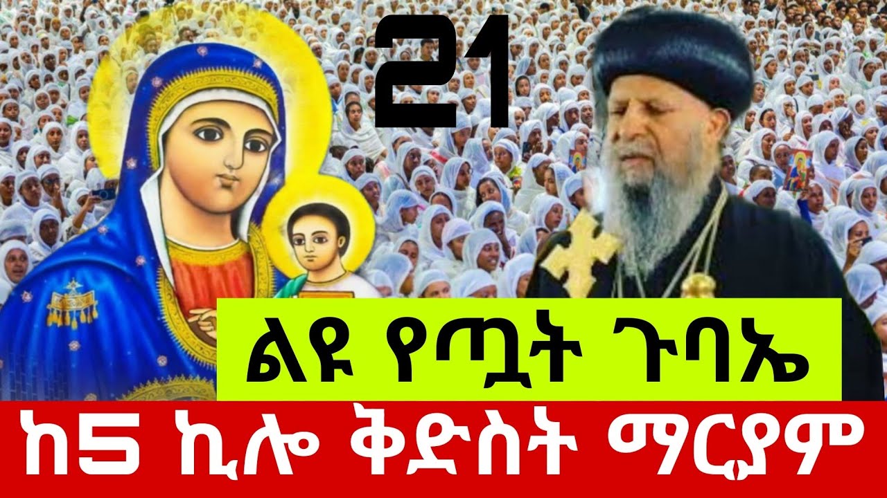 🛑Live#የካቲት 21 ቀን የዐቢይ ጾም 13 ቀን የጧት ጉባእ⭕️ከመንበረ ፓትርያርክ ቅድስት ማርያም ገዳም⭕️EOTC👉በኑኃሚን ሚዲያ‼️