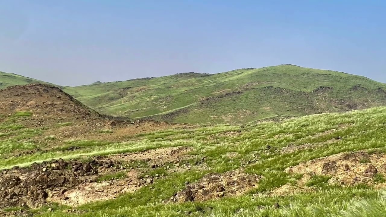 ربيع جنوب مكة المكرمة جبل سطاع. لعام. 1444هـ—2023م