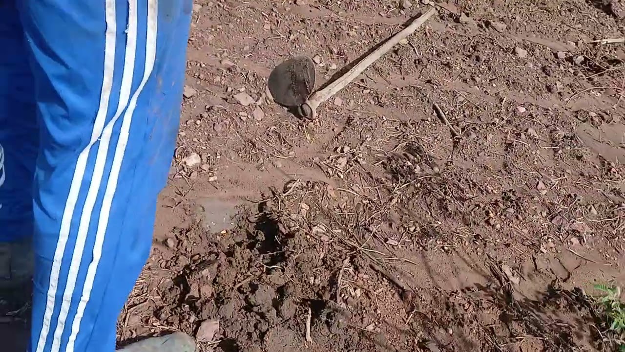 Tamos por cá  novamente 