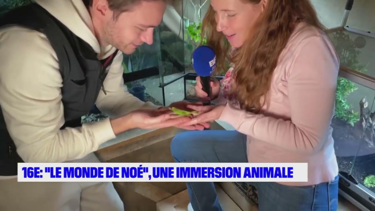 ARIANE A TESTE LE MONDE DE NOE