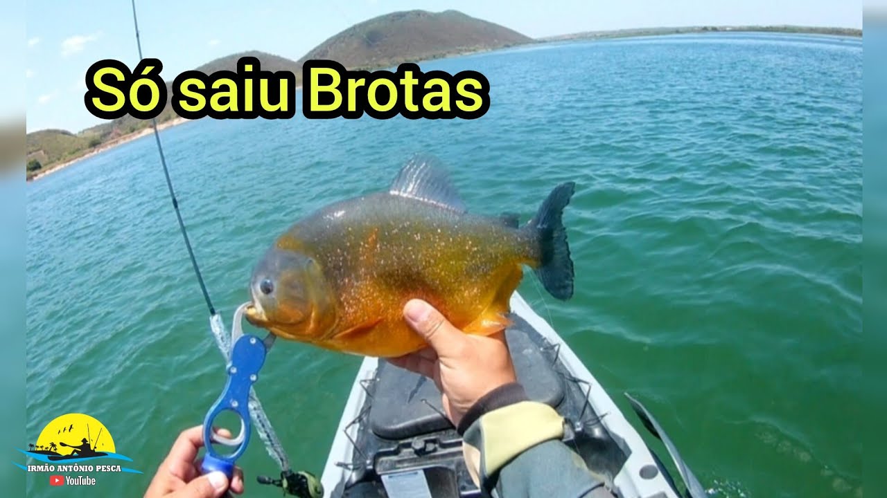 Minha Primeira Pescaria Com Pindoca Dos Olhão e o Resultado Foi Bom#piranha#Romário#Tucunaré