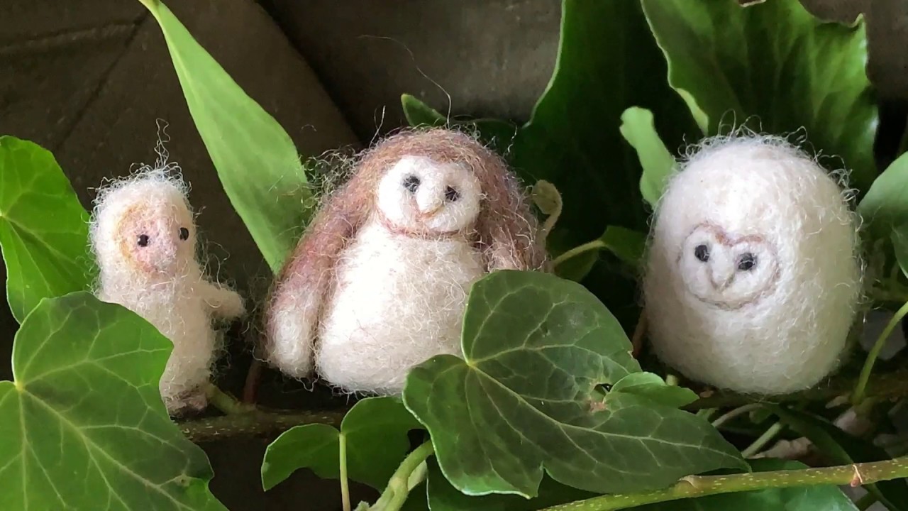 Owl Babies Stop Motion