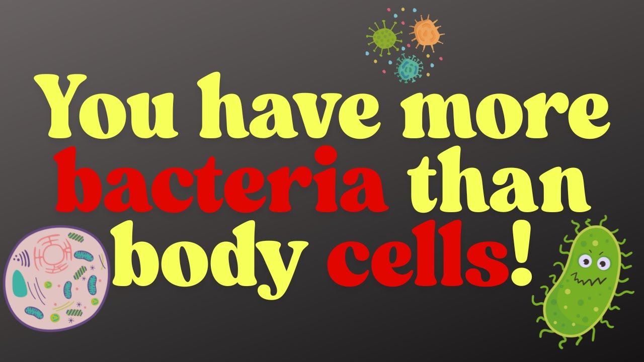 You have more bacteria than body cells!