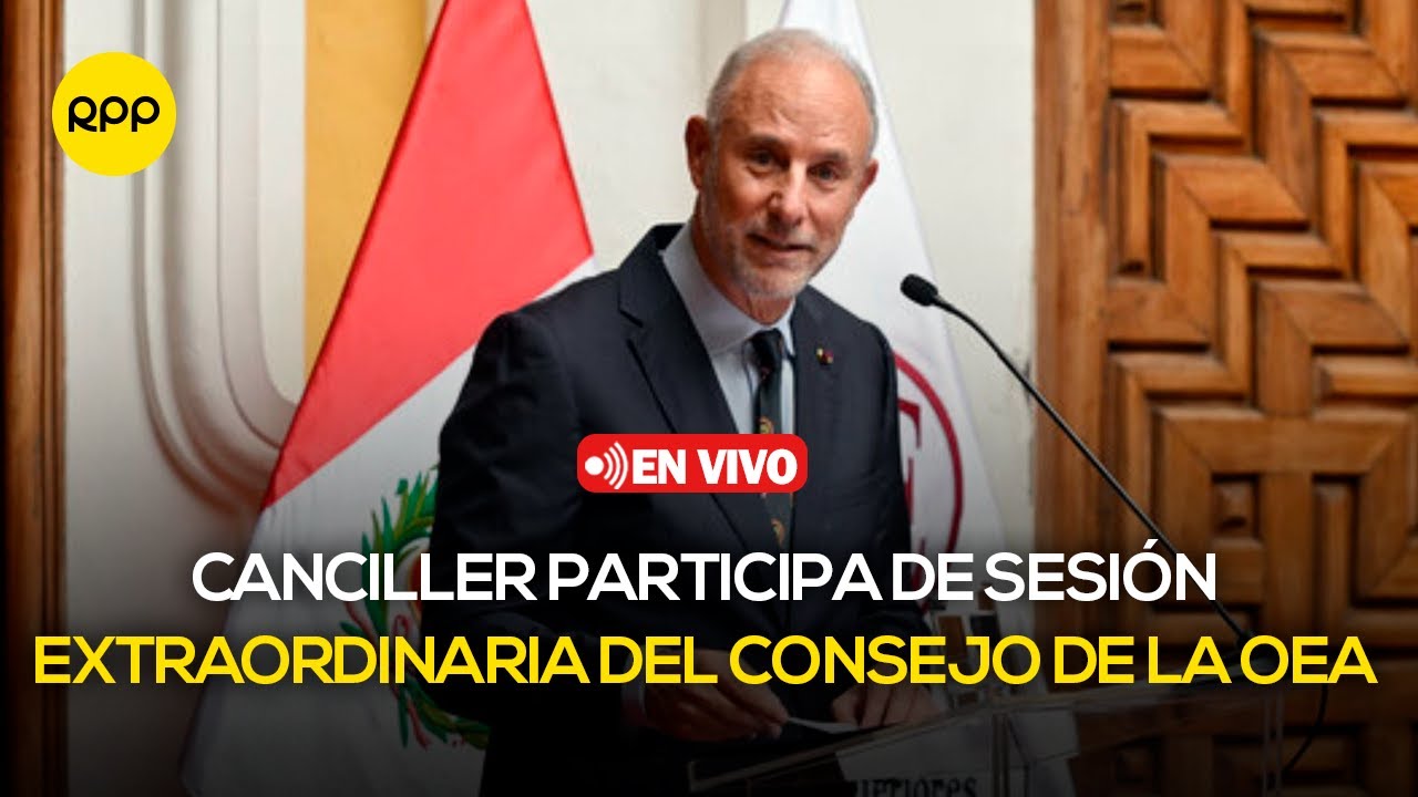 Javier González-Olaechea participa en la Sesión Extraordinaria del Consejo Permanente de la OEA