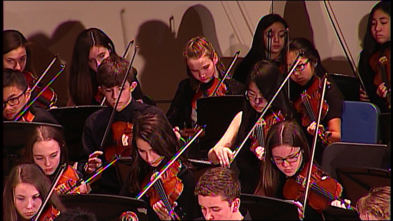 NPSD String Festival 2-7-17
