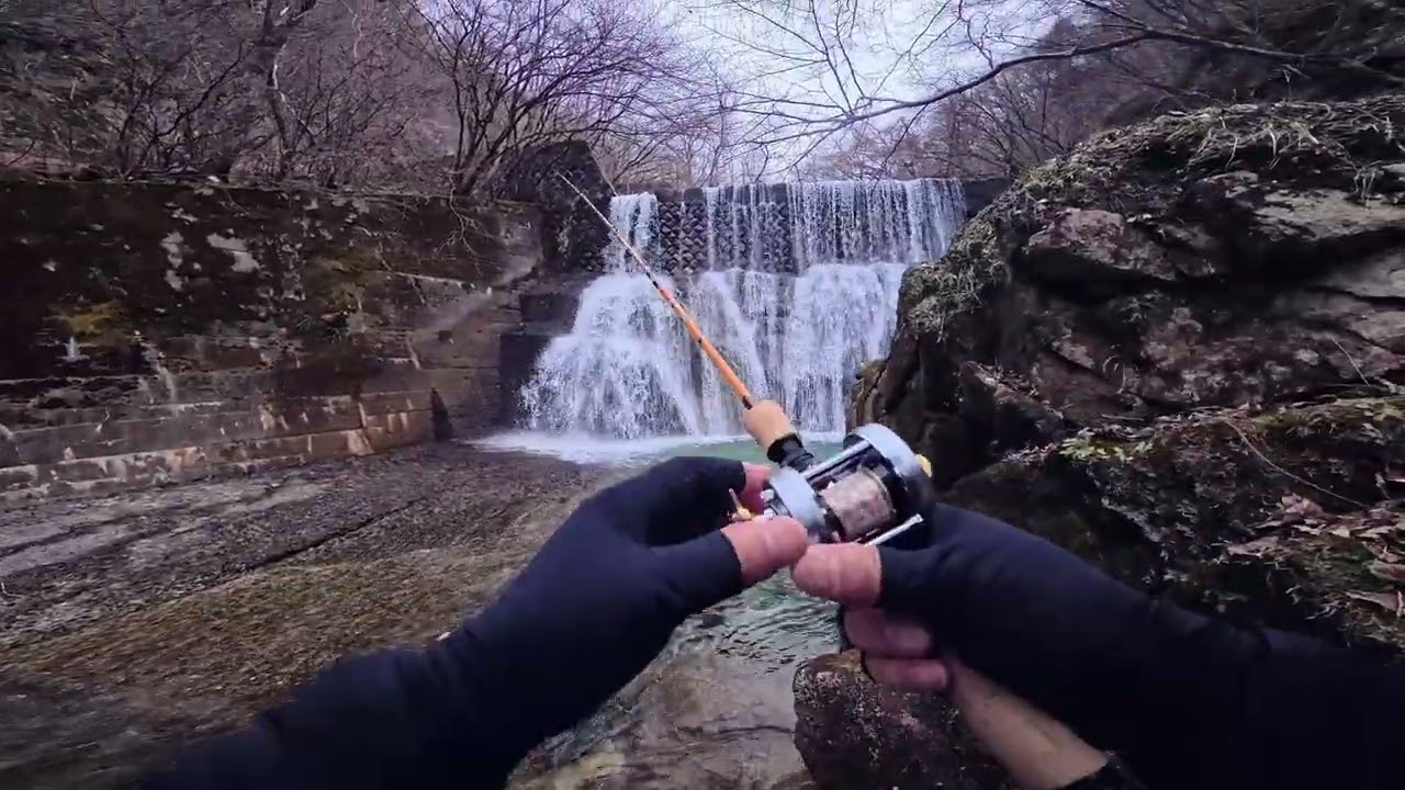 2026年3月18日 【木曽川漁協】雪解けの木曽川水系で新規開拓　自作ミノーで出会う春イワナと春アマゴ　＃木曽川水系　＃自作ミノー　＃anglo&company #anglo #avail