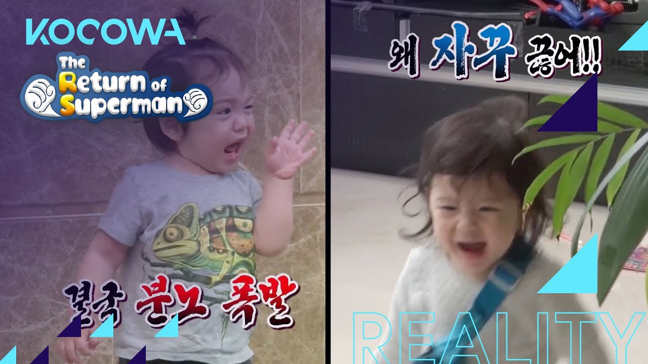 Jin Woo explodes angrily like Gun Hoo [The Return of Superman Ep 371]