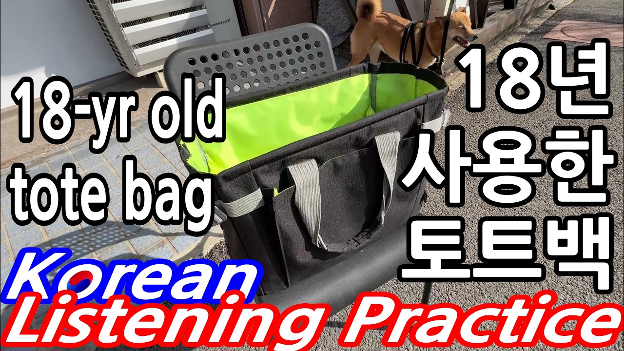 135.[A2] 18년 사용한 가방. 18-yr old tote bag? Korean Listening Practice