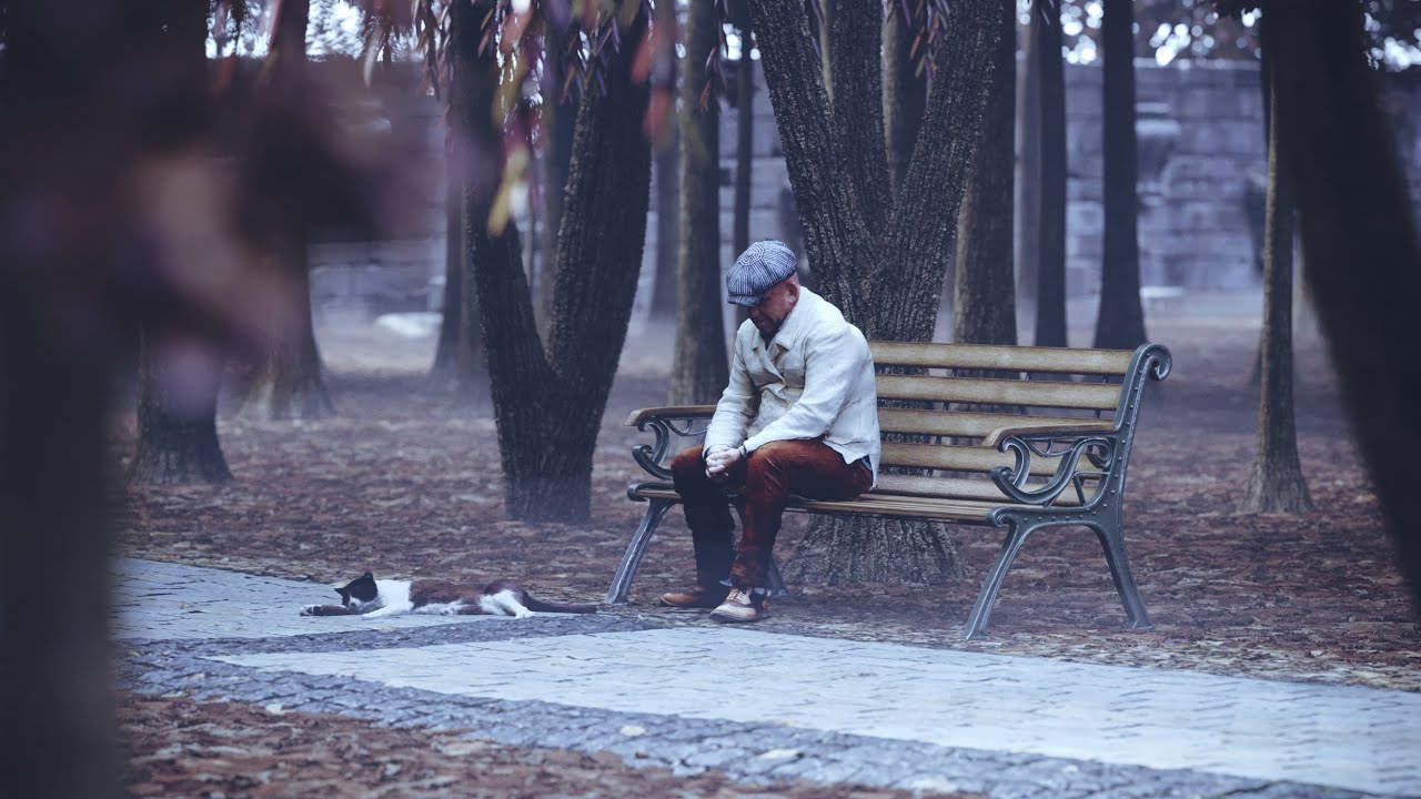 Frank And The Cat - 3D Environment Concept Art - 3DS Max and Corona Renderer
