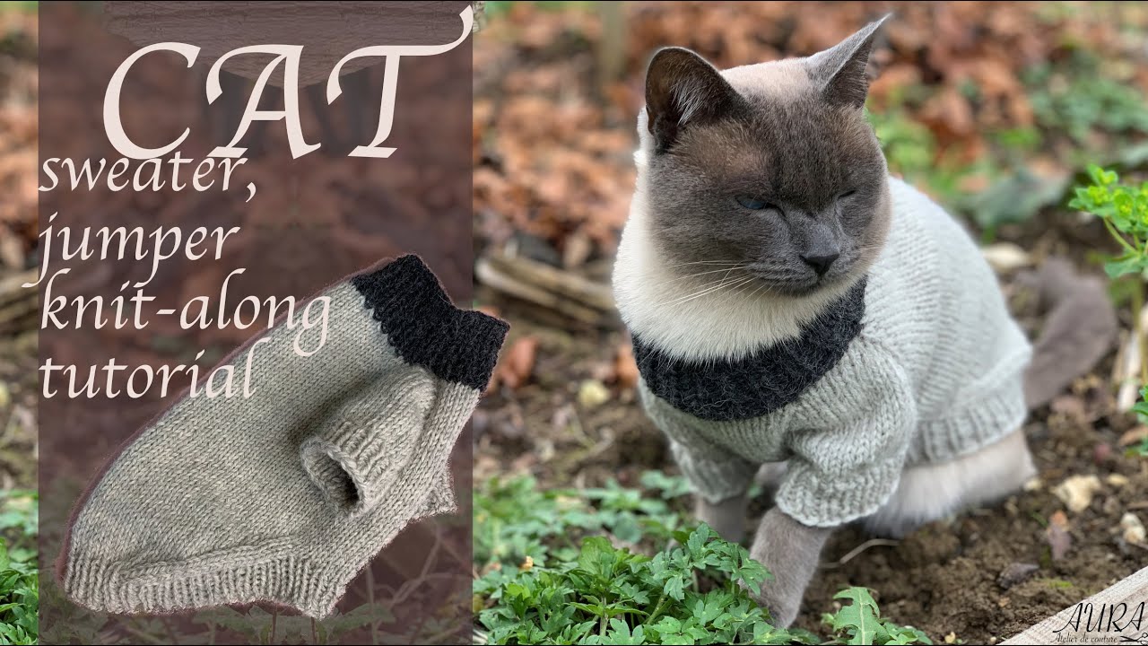 Free knitting Pattern + tutorial How-to knit a Cat or small dog sweater/jumper for beginners #diy