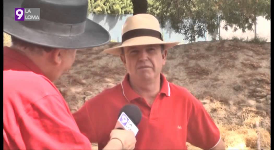 Feria de Torreperogil 2014 · Feria de ganado 2/2