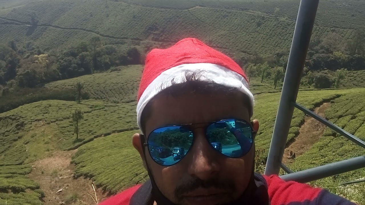 tea estates in munnar