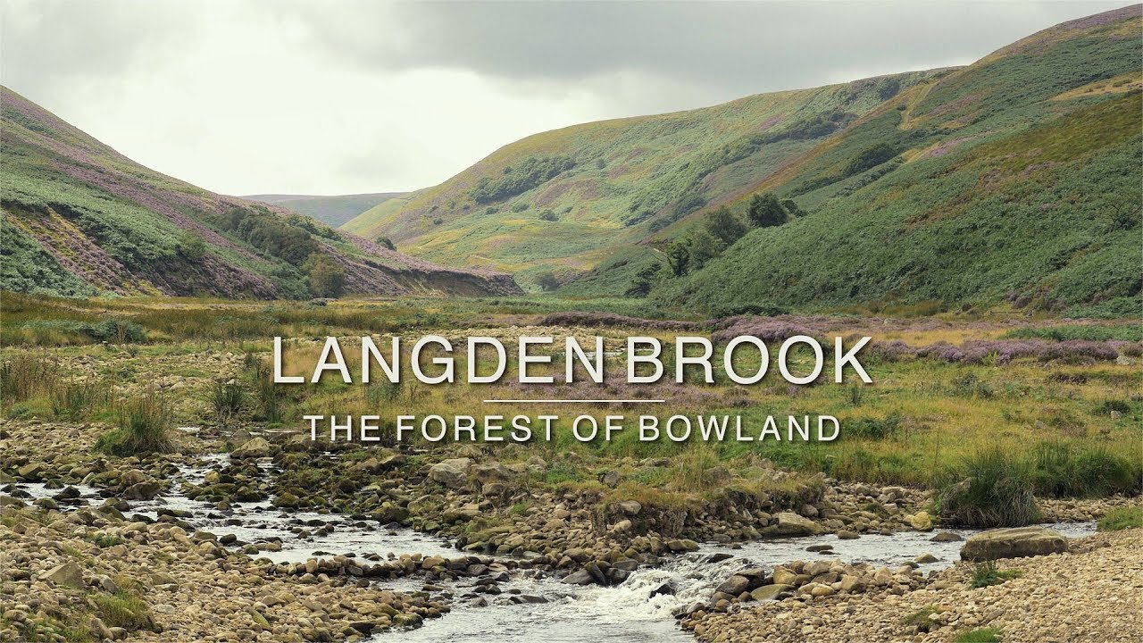 Langden Brook | The Forest of Bowland