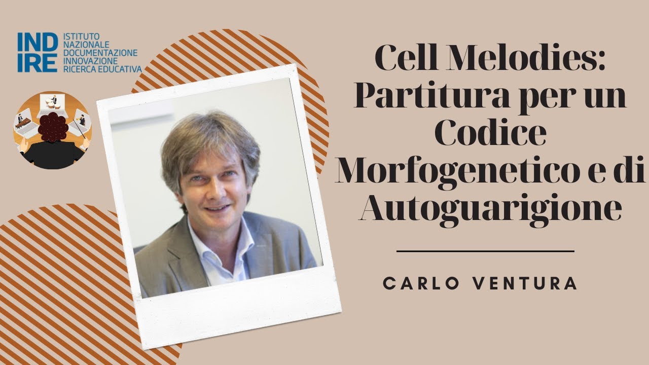 Rassegna 2023 - Cell Melodies: Partitura per un Codice Morfogenetico e di Autoguarigione