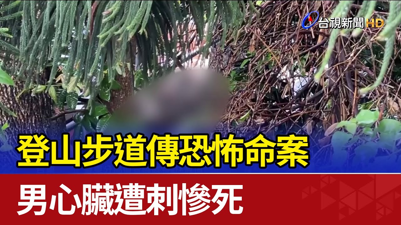 登山步道傳恐怖命案 男心臟遭刺慘死