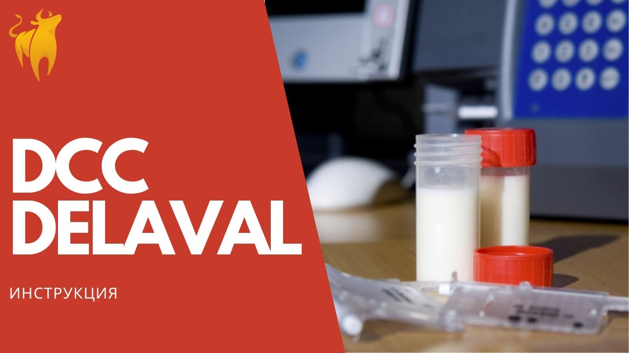 Особенности использования Delaval DCC (видео-инструкция)
