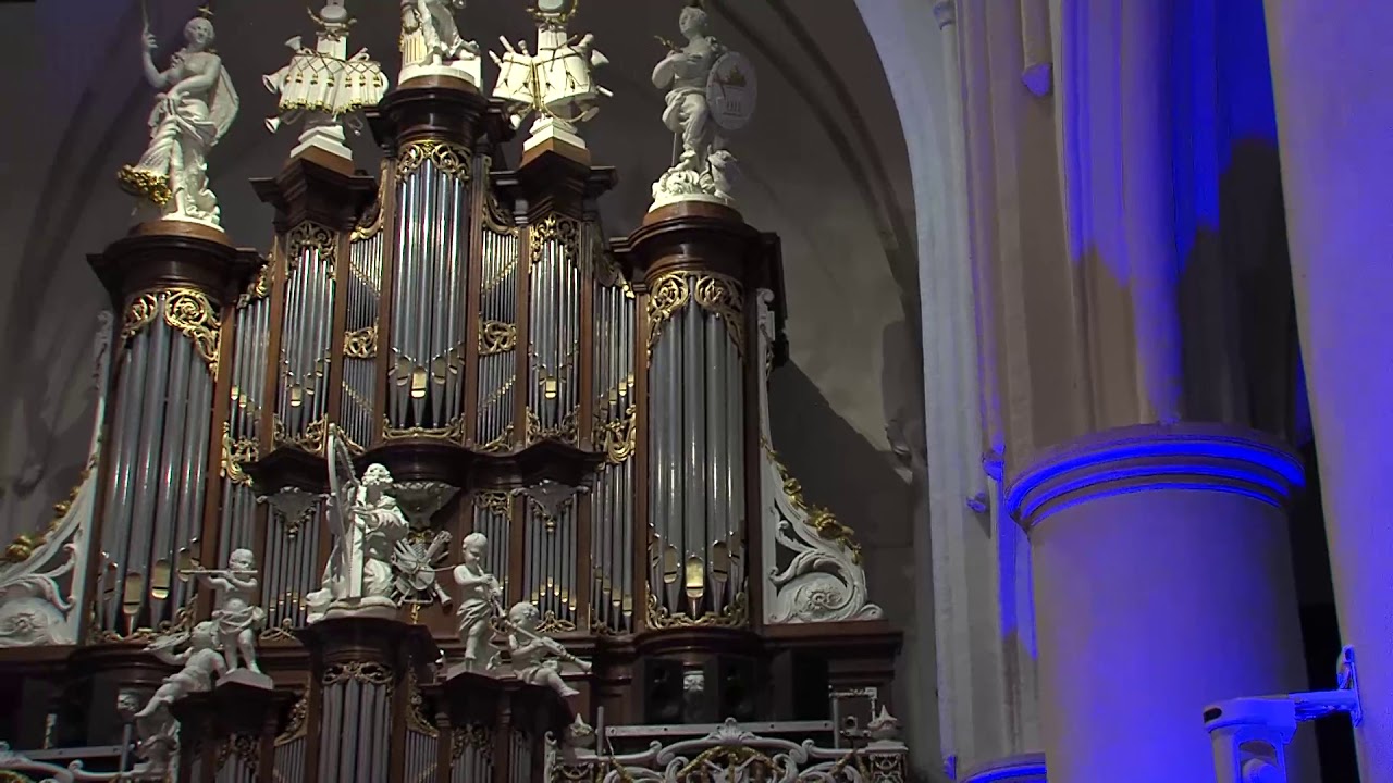 Improvisatie Dierb're Heiland, mijn Verlosser | Martinikerk Bolsward | Hugo van der Meij