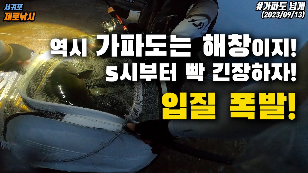 역시 가파도 넙개는 해창이지! 바칸3개 가득 조과! 5시부터 쏟아지는 긴꼬리벵에돔의 폭발적인 입질