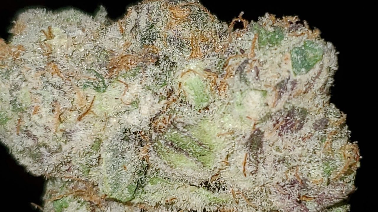 GRAPE SODA STRAIN WAKE AND BAKE STYLE