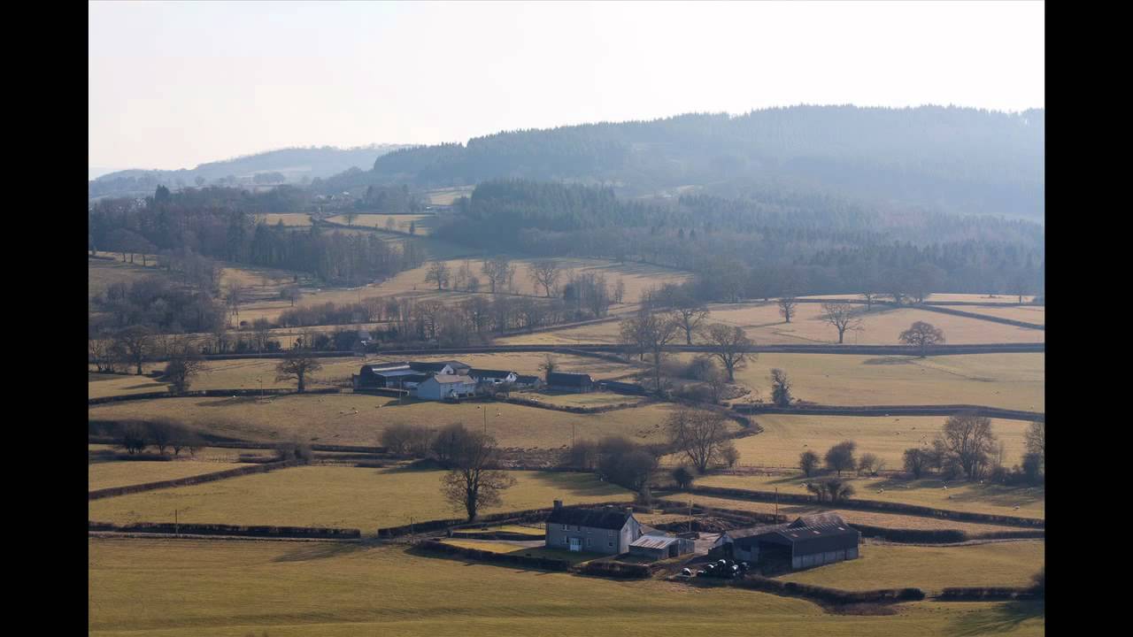 Burum - Lloer Dirion