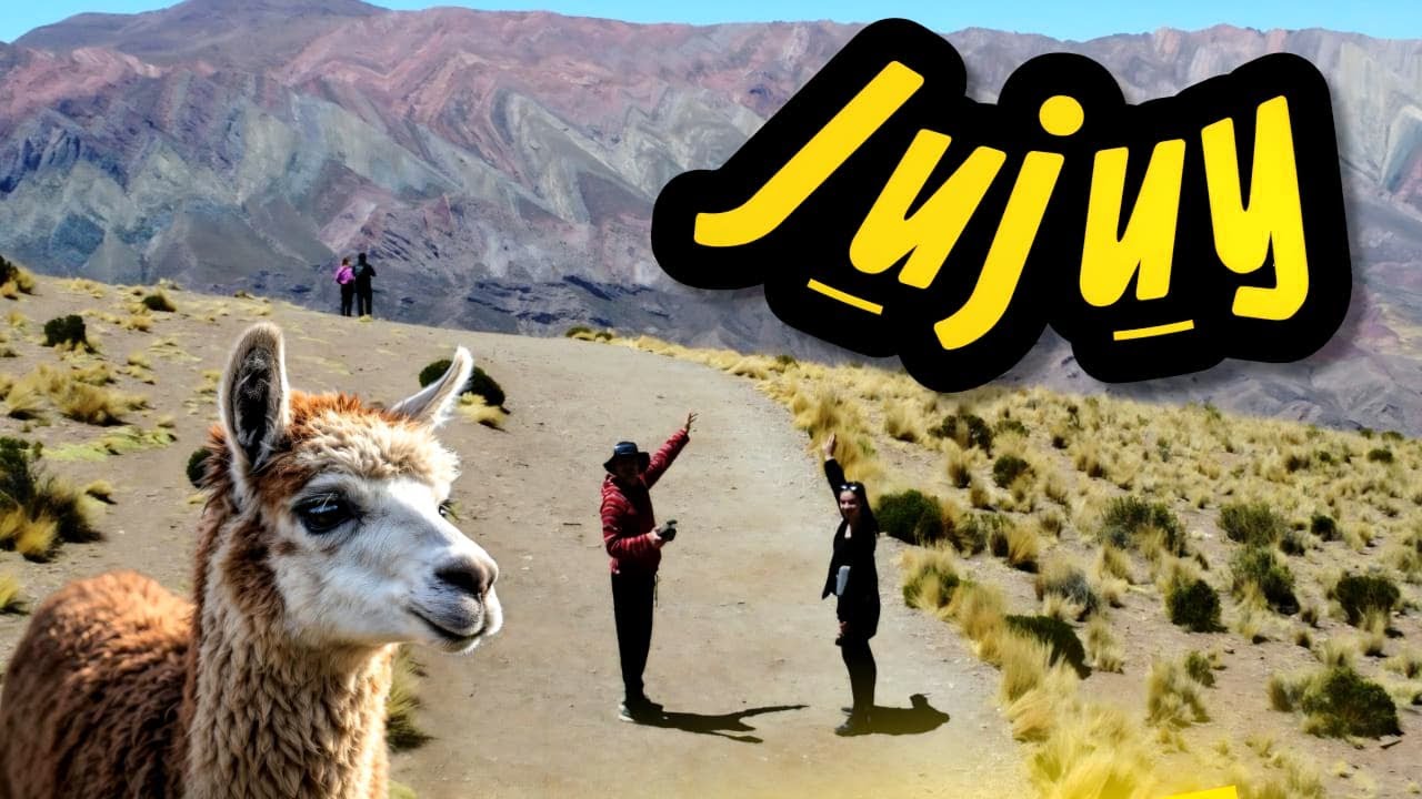 No todo en Jujuy son paisajes… también hay llamas vengativas 🦙😂- Guía de Viaje a JUJUY ✈️🌵