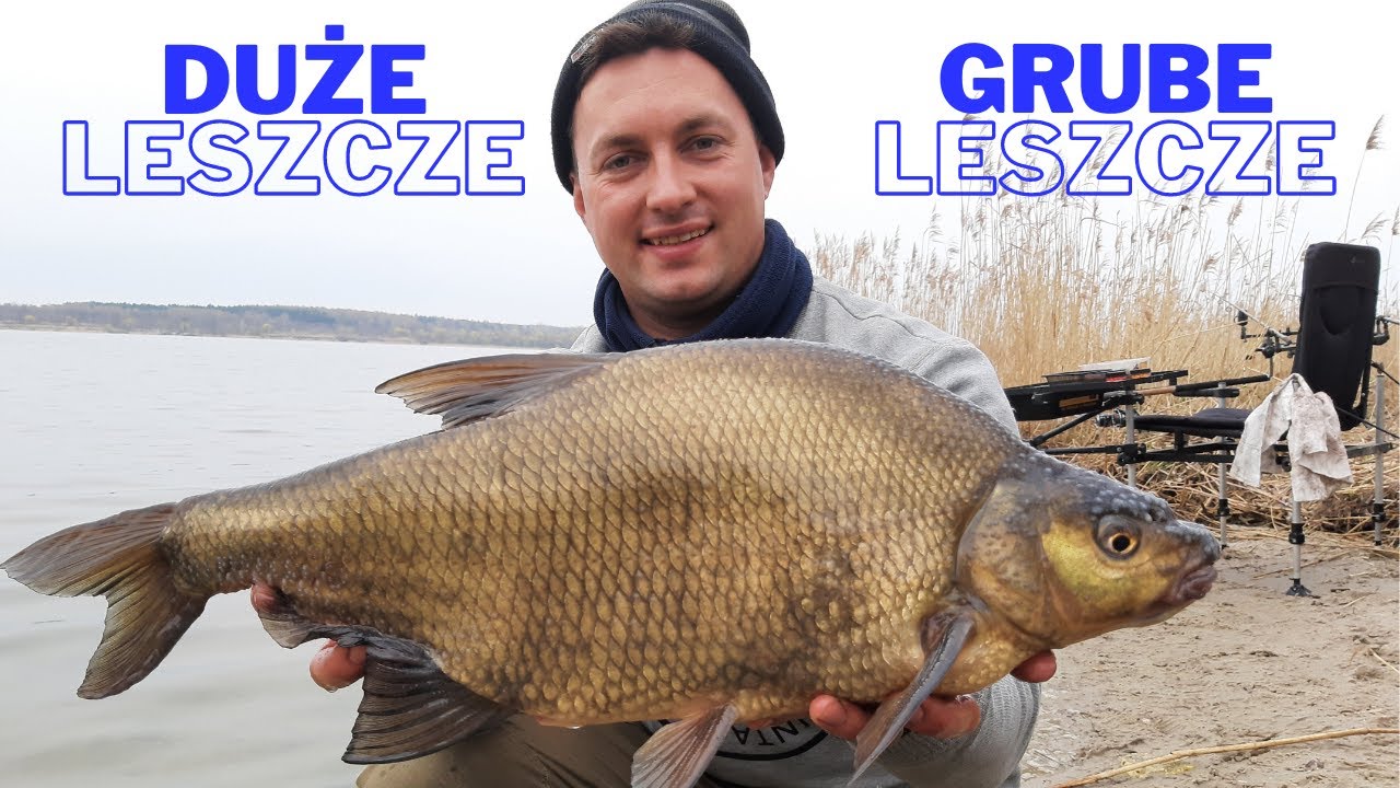 Grube Leszcze na Method Feeder z Dzierżna Dużego Cz. 1