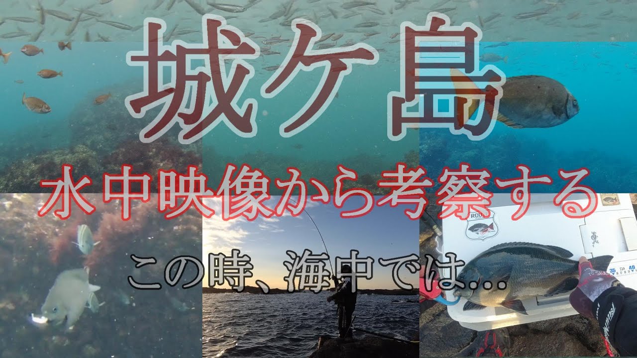 居ない魚は釣れないけど諦めは禁物！2023年11月下旬