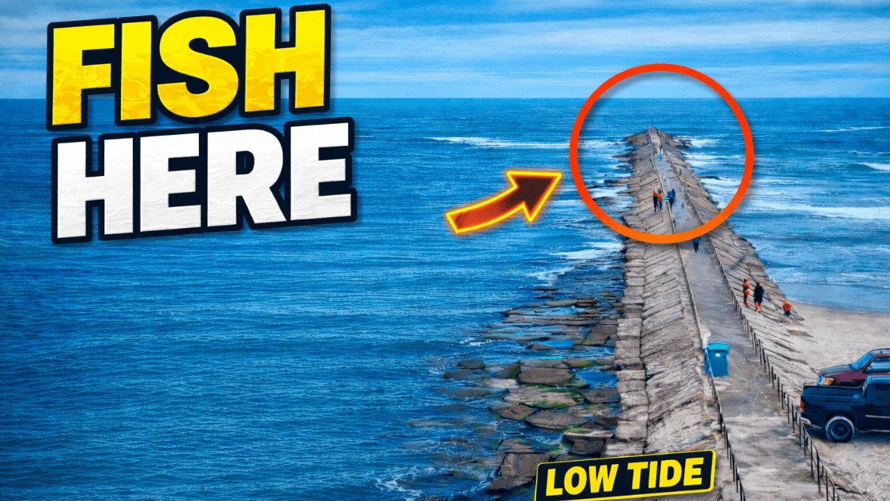 BEST Bank FISHING SPOTS in Corpus Christi (Bridges, Piers & Jetties)