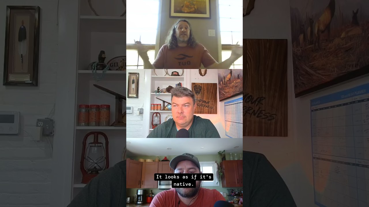 Wild Vitamin C Facts!