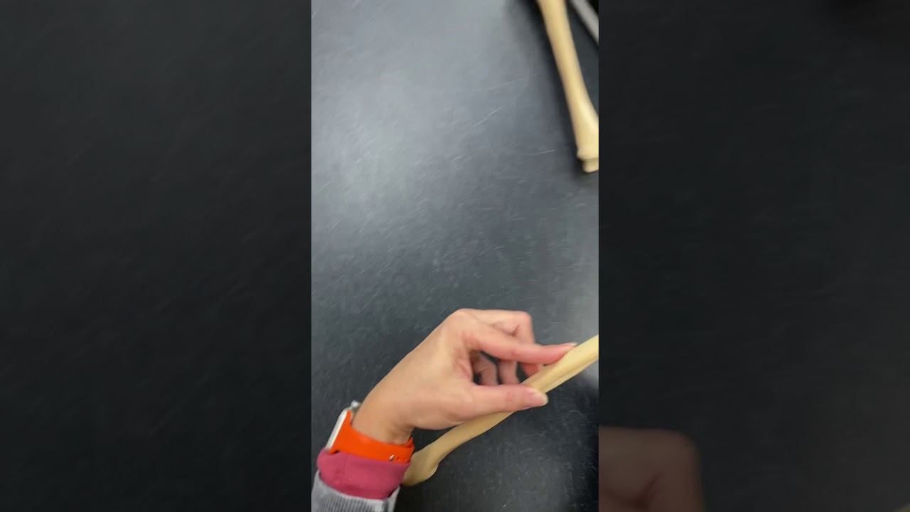 4-7 Fibula