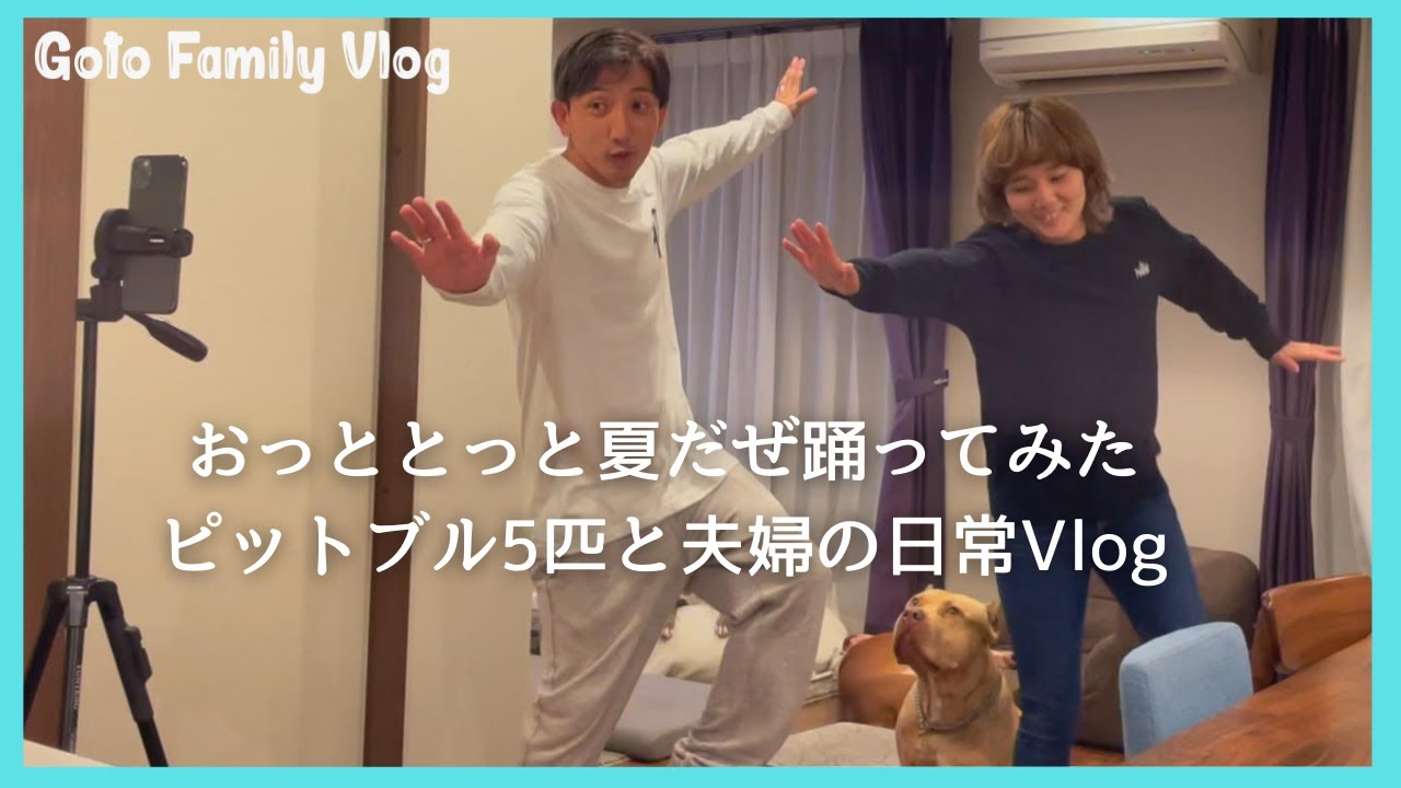 おっととっと夏だぜ踊ってみた【日常VLOG】【アメリカンピットブル】