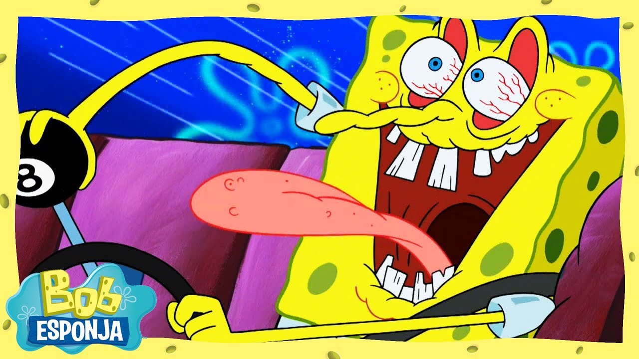 Bob Esponja &eacute; reprovado nos testes de dire&ccedil;&atilde;o | Bob Esponja em Portugu&ecirc;s