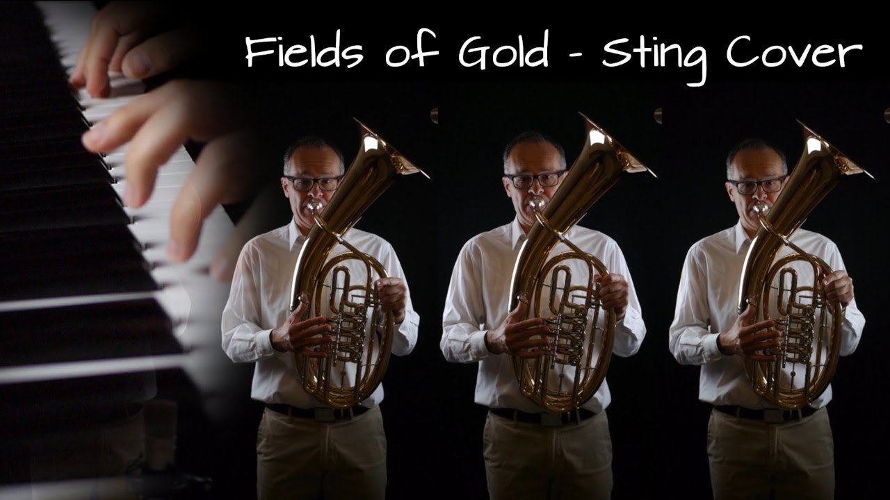 Fields of Gold (Sting Cover)