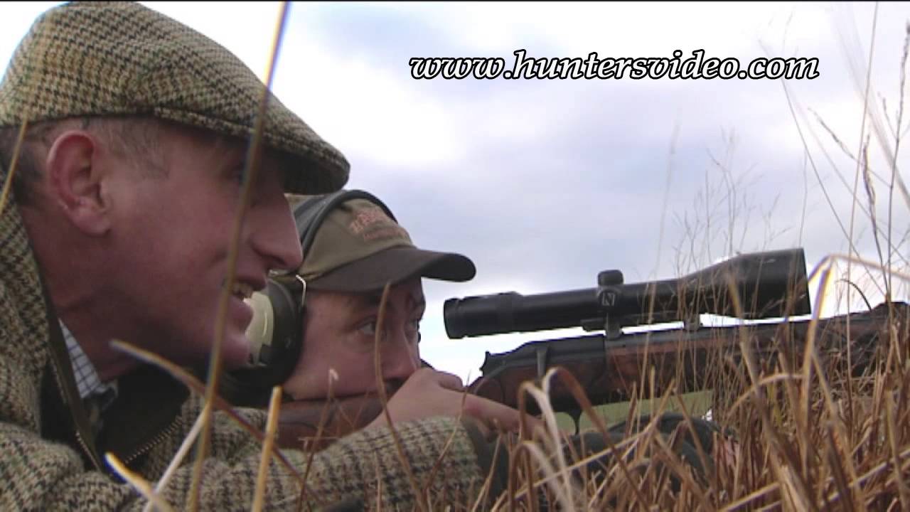 Buschierjagd in Schottland - Hunters Video