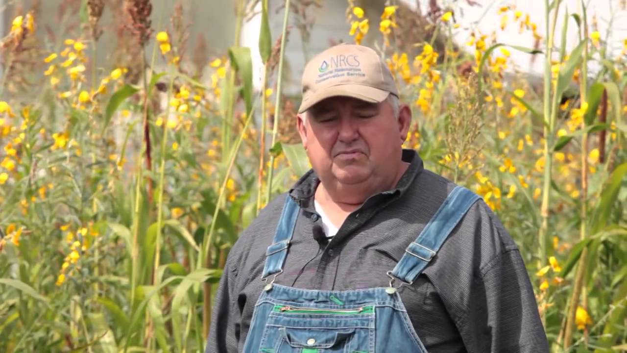 David Brandt   SARE National Conference on Cover Crops & Soil Health