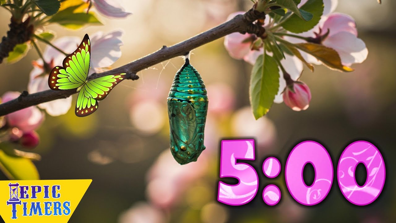 5 Minute Butterfly Cocoon Calm Music Timer