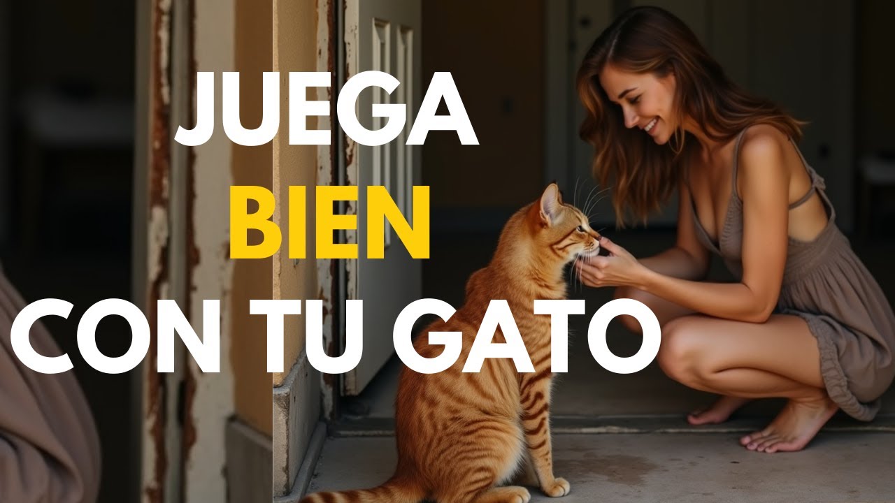 Sigue estas 7 PAUTAS para que el juego diario con tu Gato sea un éxito total