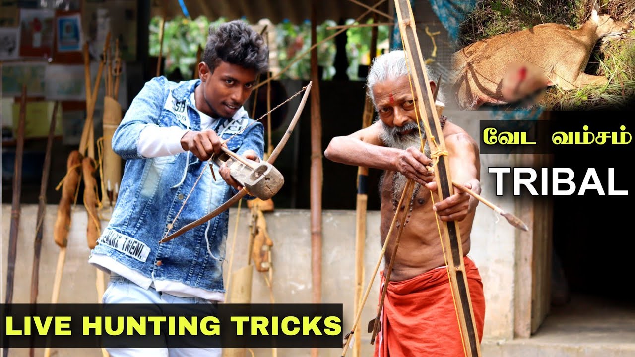 Tribal Govindan Archery Amazing hunting Tricks in Tamil | Wayanad | Edison vlogs Tamil