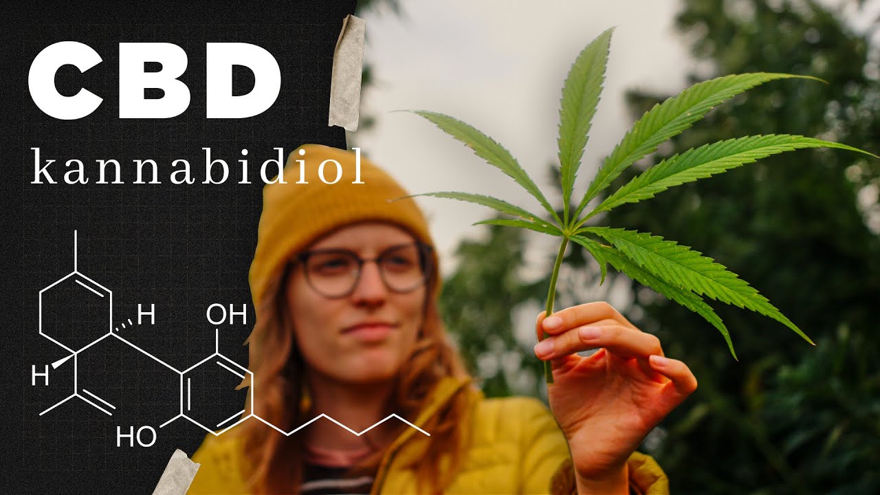 Wszystko, co chcesz wiedzieć o CBD
