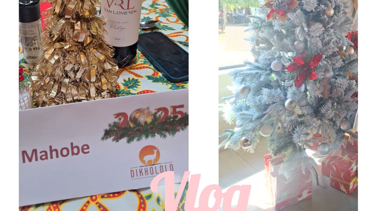 VLOG:Christmas day🌲/Visit Hartbeespoort dam/Traveling back home to CapeTown🏘🏞/Stop in Bloemfontain 🚧