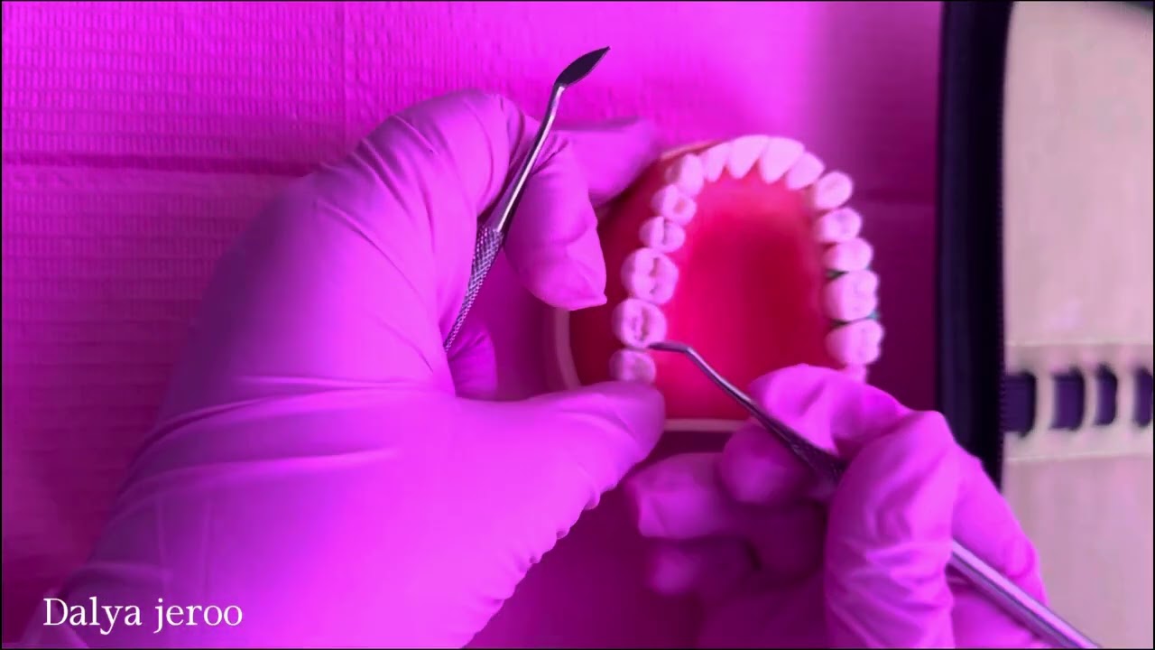 شرح مفصل مع تطبيق عملي عن أدوات الأملغم 