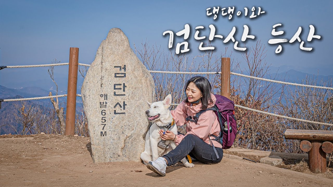 드디어 봄이 왔다! 반려견과 첫 봄 산행, 검단산 등산