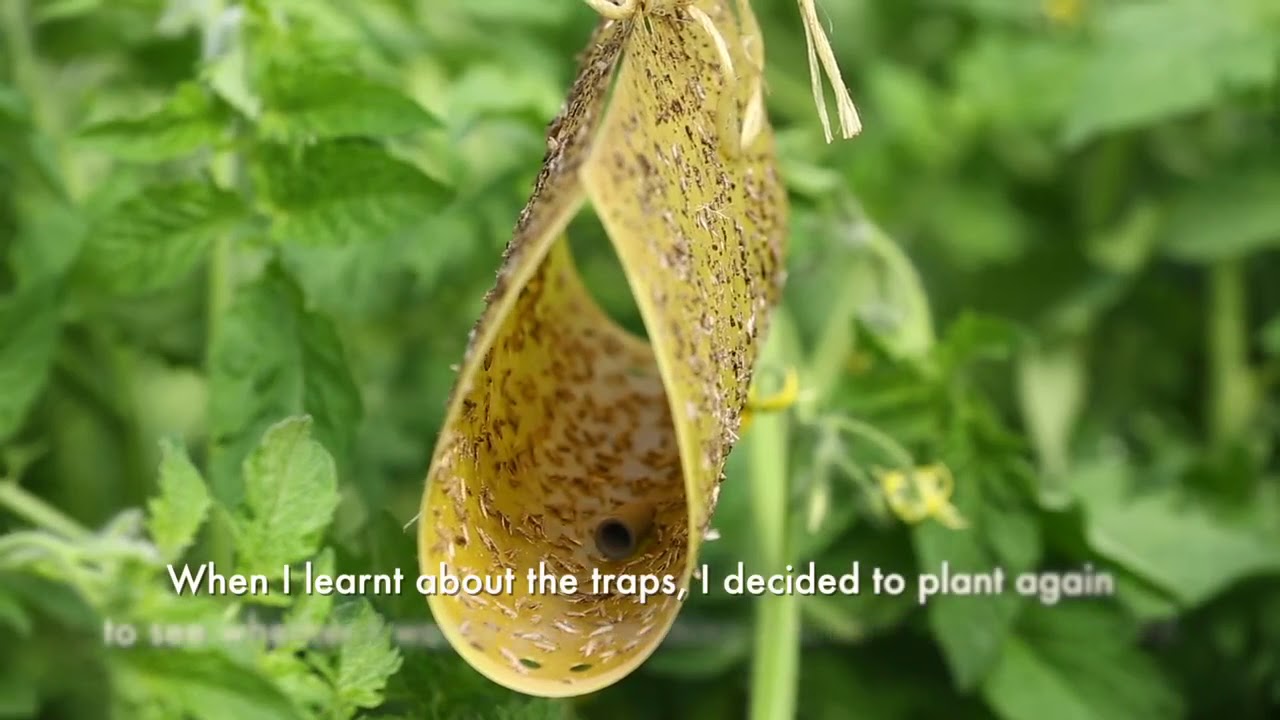 Tutrack farmers feedback