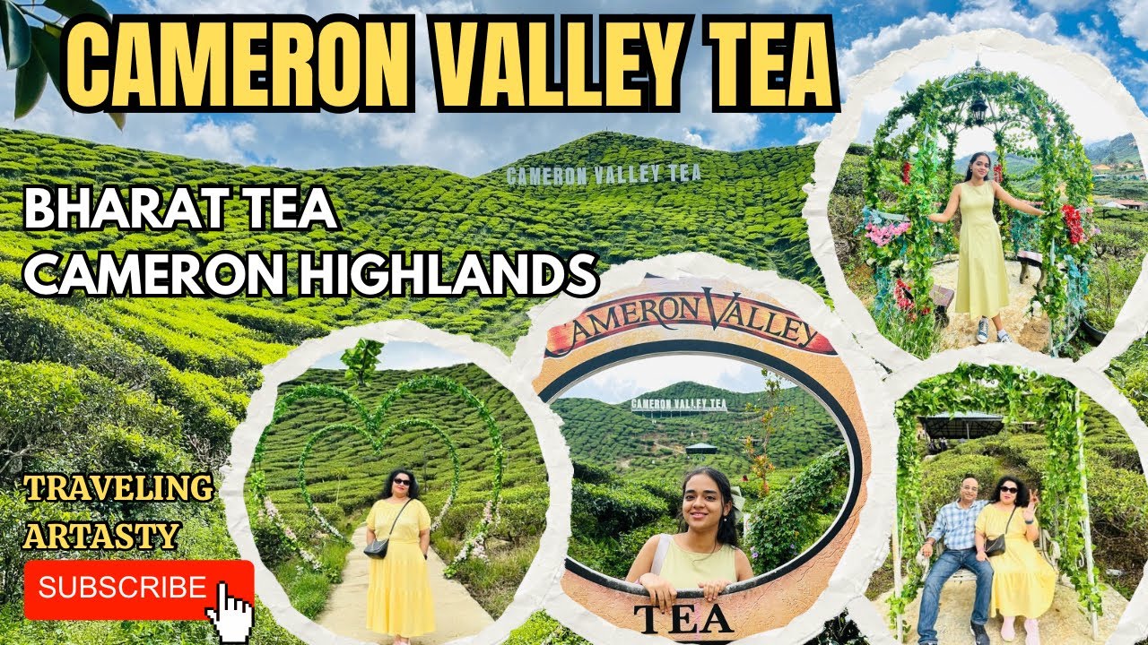 CAMERON VALLEY TEA IN CAMERON HIGHLANDS | Bharat Tea Plantation in Cameron, Malaysia