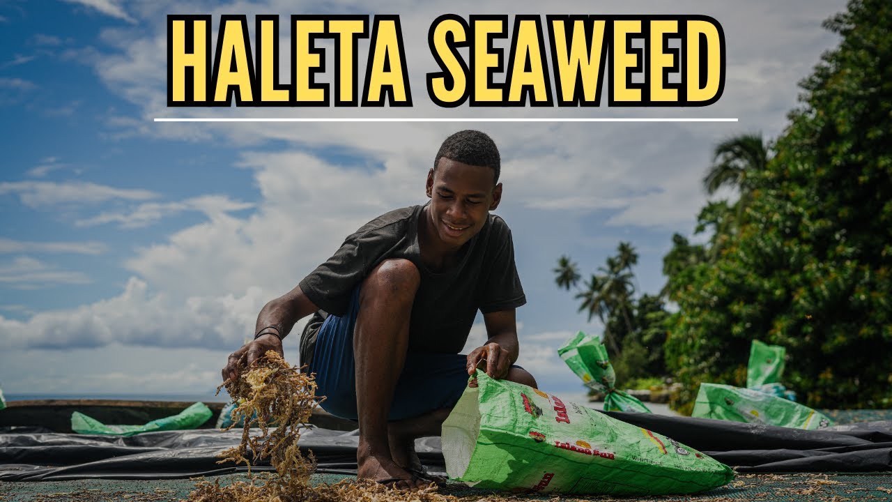 Haleta Seaweed in Rarumana