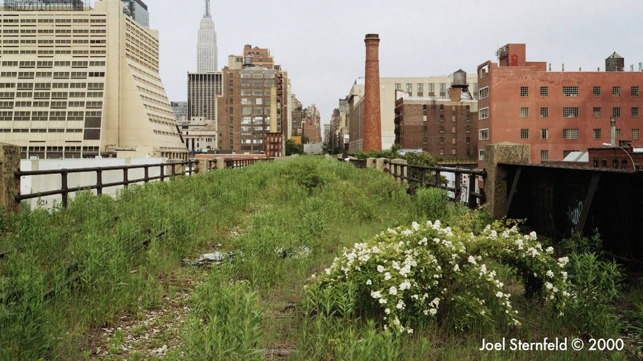 Inhabitat talks to James Corner about the design of the High Line Urban Park